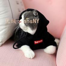 Ҿ