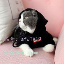 Ȼ