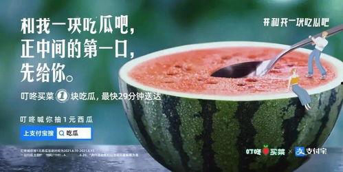 娱乐吃瓜新楼 凉拌吧,凉拌吧，揭秘娱乐圈幕后故事